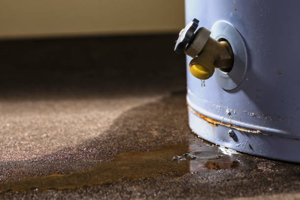 Professional Water damage restoration in Frontenac, MO
