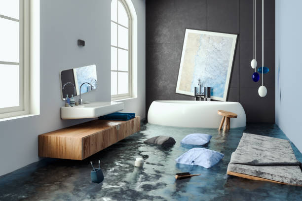Best Water damage restoration services  in Frontenac, MO