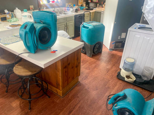 Best Professional water damage repair  in Frontenac, MO
