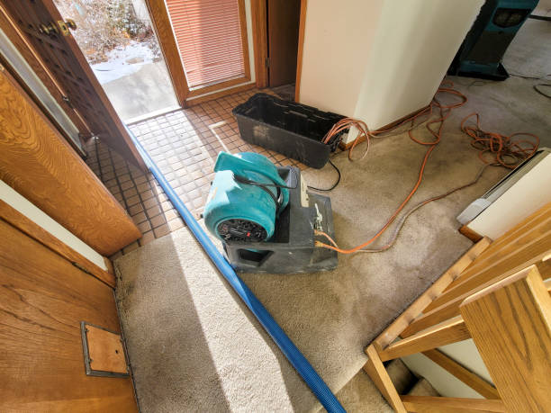 Best Water damage cleanup near me  in Frontenac, MO