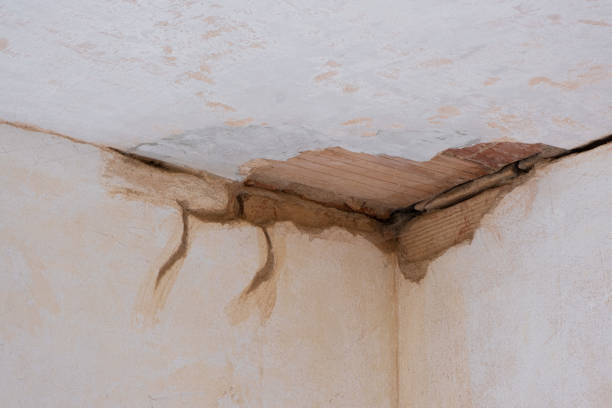 Best Residential water damage restoration  in Frontenac, MO