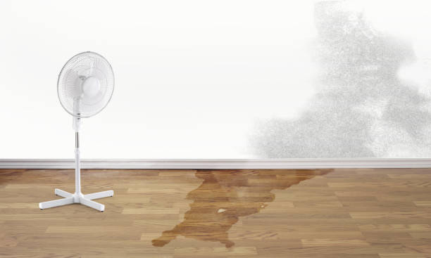 Best Carpet water damage restoration  in Frontenac, MO