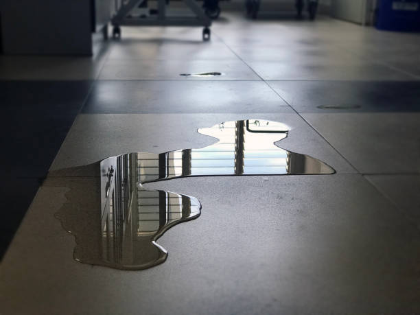 Best Water damage restoration specialists  in Frontenac, MO
