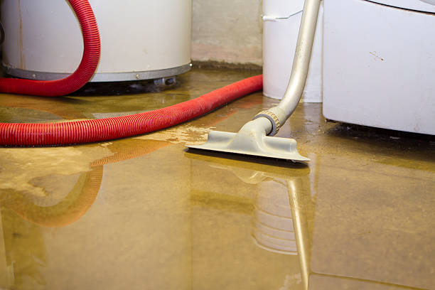 Best Basement water damage restoration  in Frontenac, MO