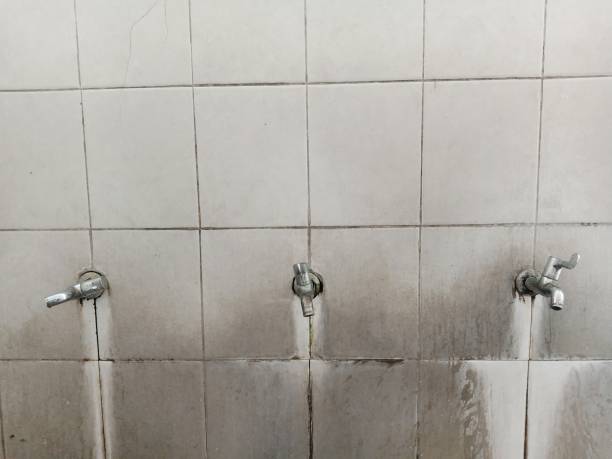 Best Emergency water damage restoration  in Frontenac, MO