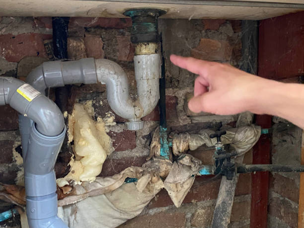 Water damage restoration mold remediation in Frontenac, MO