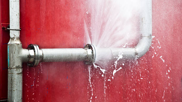 Best Water damage restoration near me  in Frontenac, MO